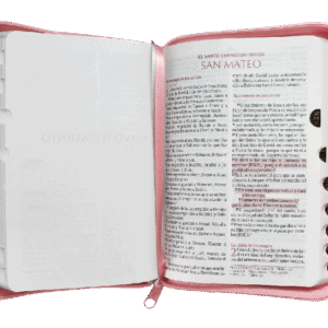 biblia fuente de bendiciones reina valera 1960 chica letra mediana imitación piel rosa