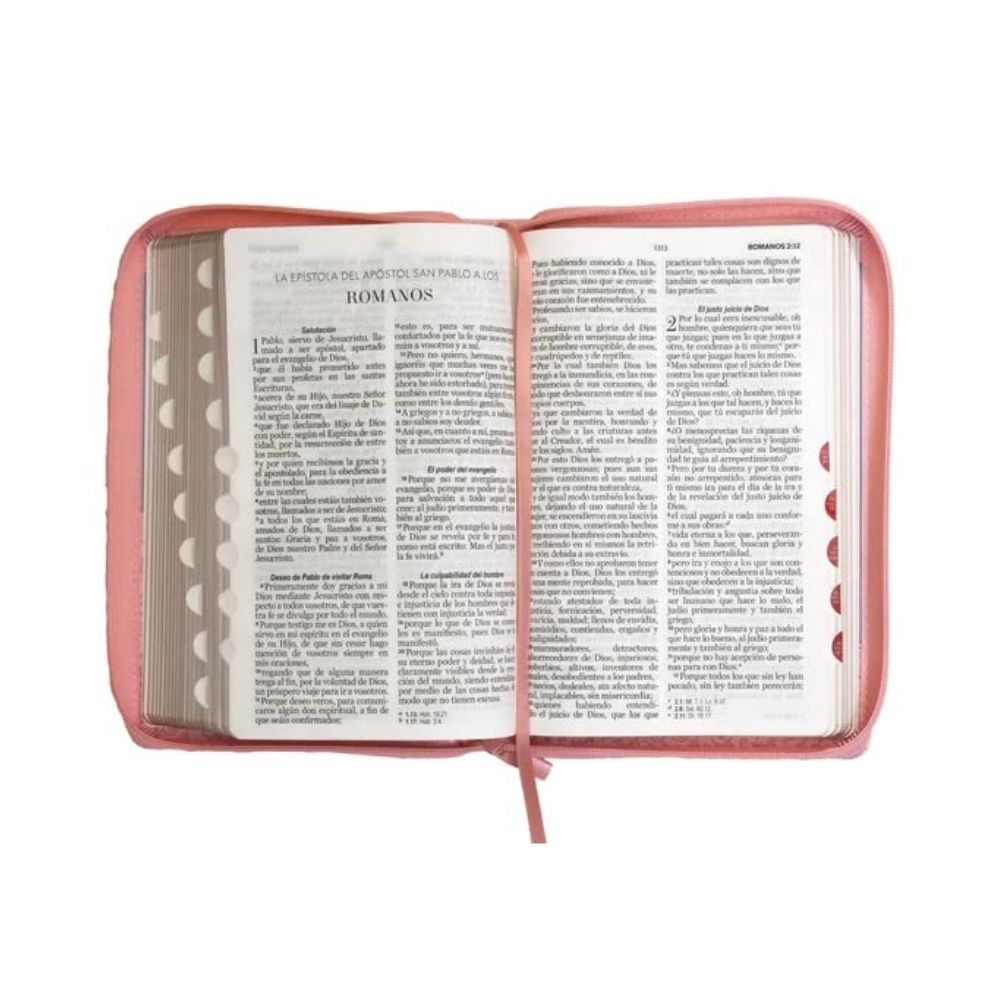 Biblia Rvr60 Clásica Bitono Rosa/azul. Editorial Abba - Image 4