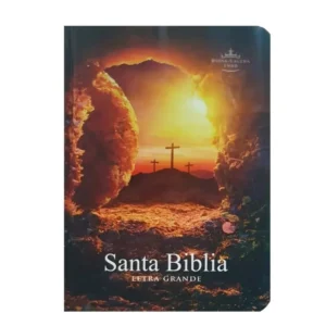 biblia reina valera 1960 estándar pjr td colores piedra