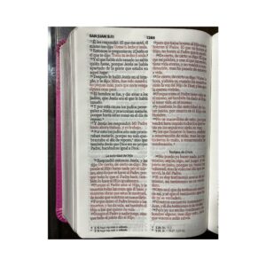 biblia reina valera 1960 045c l 12p 13x18 pjr rosa/rosa flores