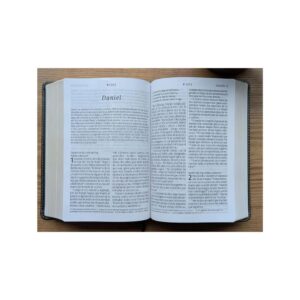 biblia compacta ntv, letra gigante con filament (sentipiel, gris, letra roja)