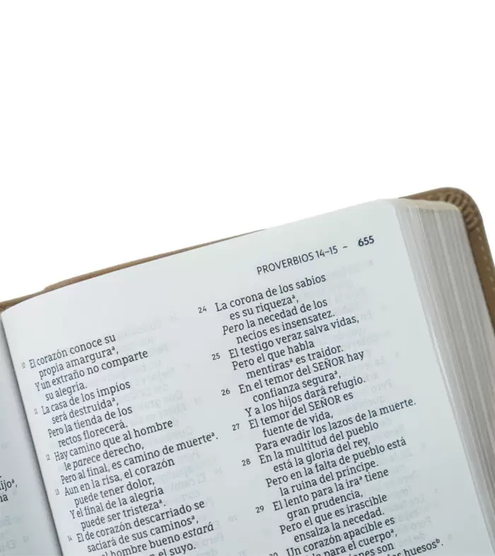 Biblia NBLA Ultrafina Letra Grande – Imitacion Piel Beige - Image 3