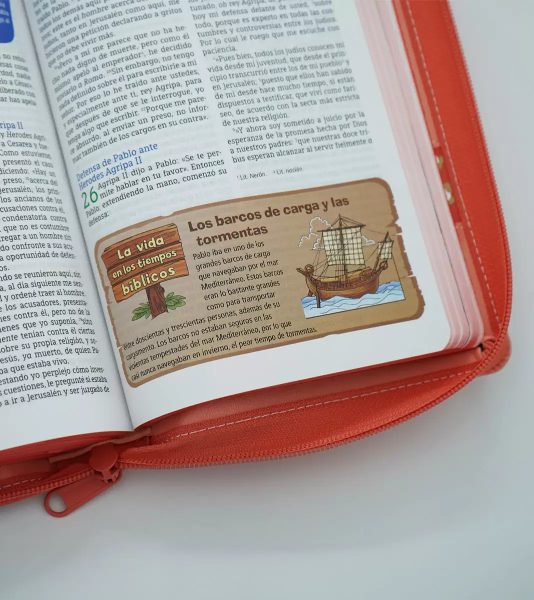 Biblia Aventura NBLA – Imitacion Piel Coral Con Cierre - Image 5