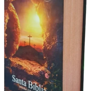 biblia reina valera 1960 estándar pjr td colores piedra