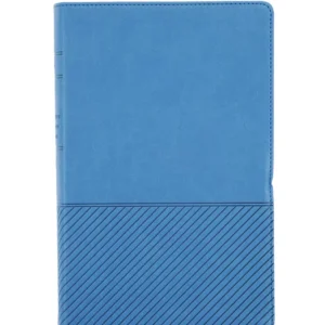 biblia de estudio del diario vivir para jóvenes ntv con filament