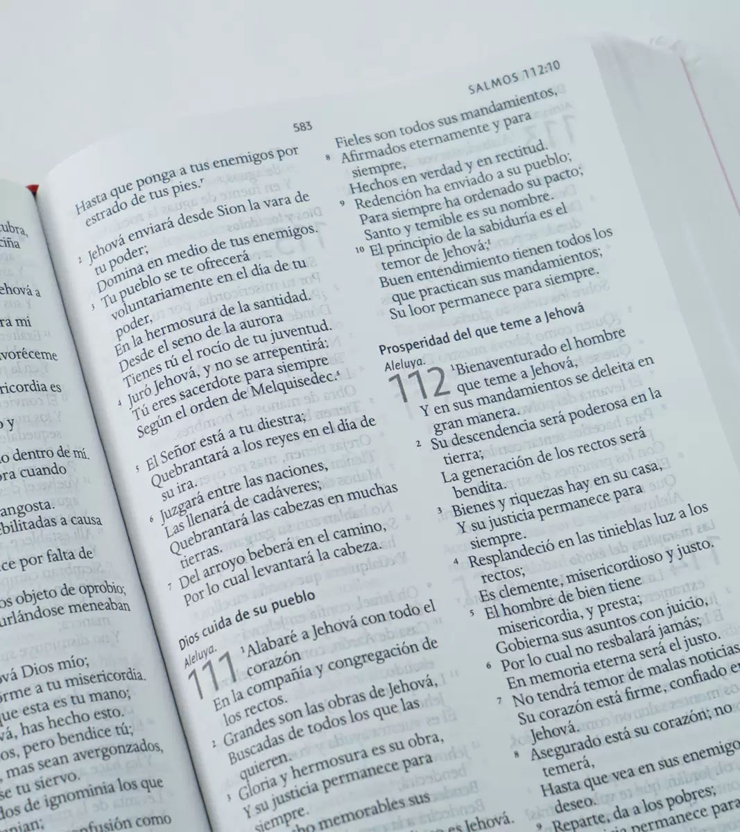 Biblia Letra Grande Tamaño Manual – RV1960 Tapa Dura Rosa Flores - Image 2