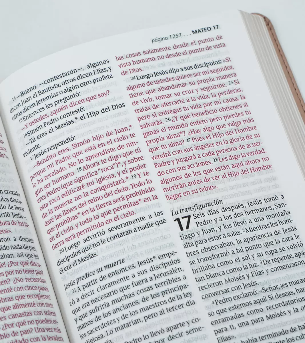 Biblia NTV letra grande, Imitacion Piel Metalico - Image 3