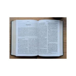 Biblia compacta NTV, letra grande con filament, sentipiel, color gris
