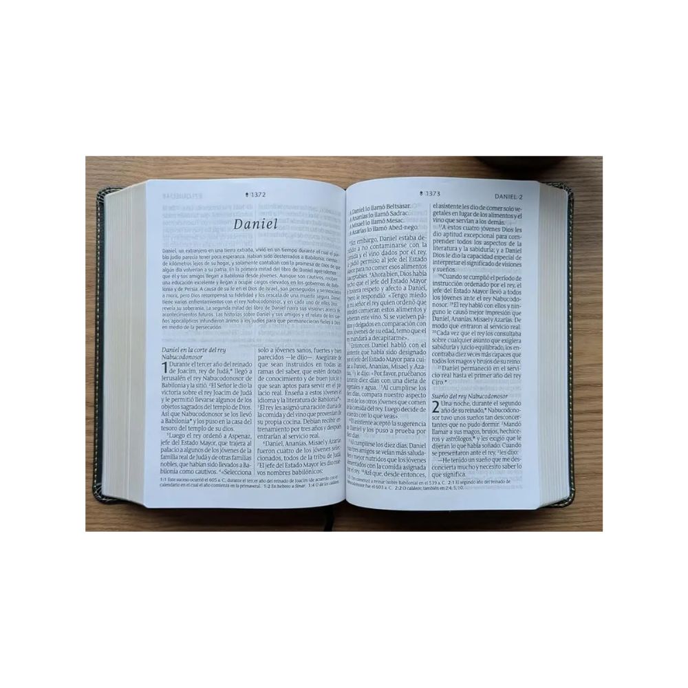 Biblia Compacta NTV, Letra Grande, Filament - Image 2