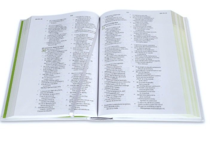 Biblia Consejería para la Vida RV1960 - Image 4
