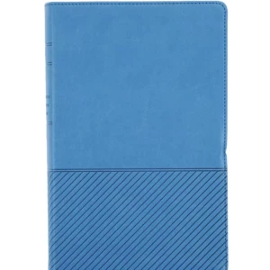 Biblia de estudio del diario vivir para jóvenes, versión NTV, con filament