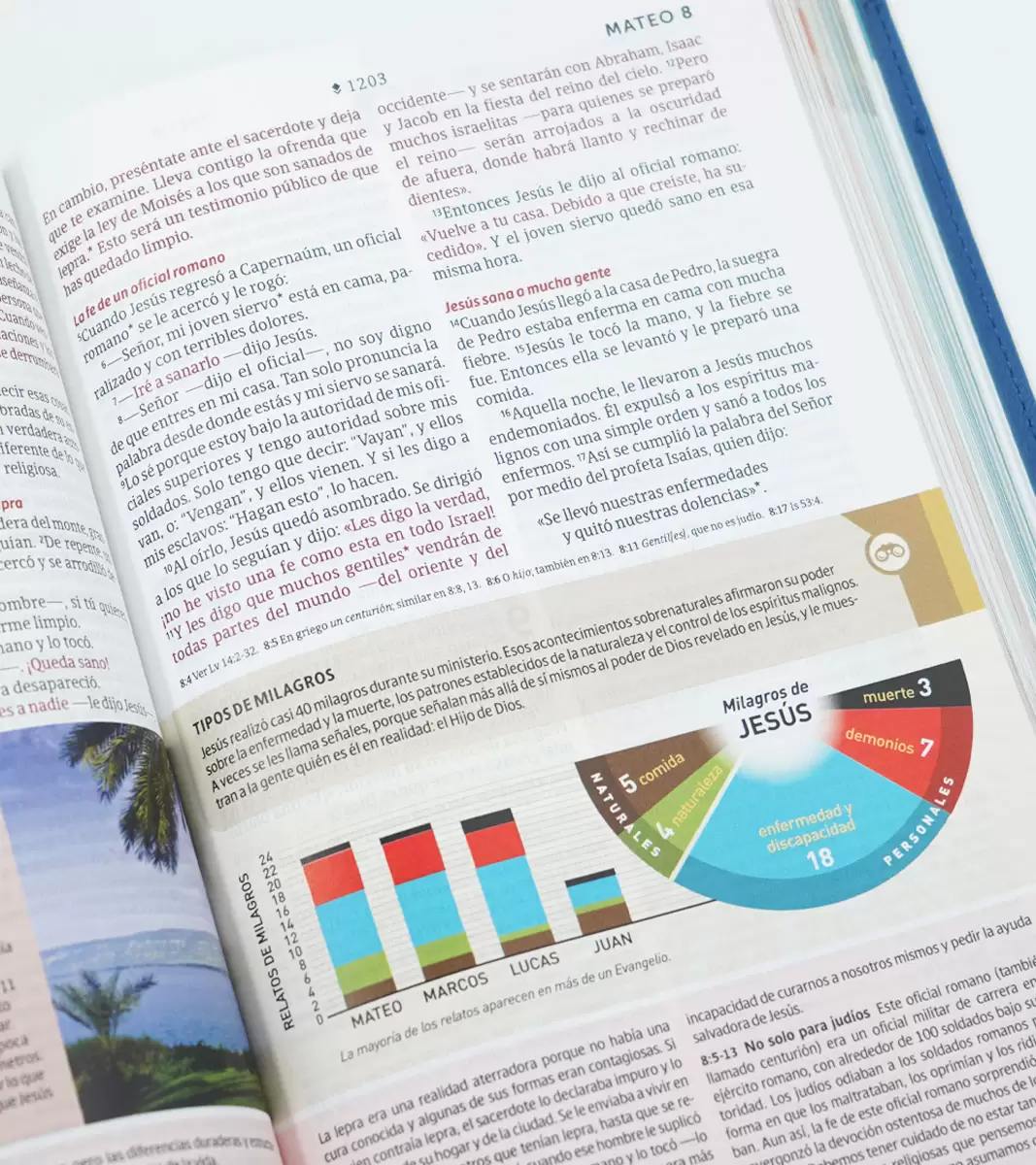 Biblia de estudio Diario Vivir para Jóvenes NTV - Imagen 3
