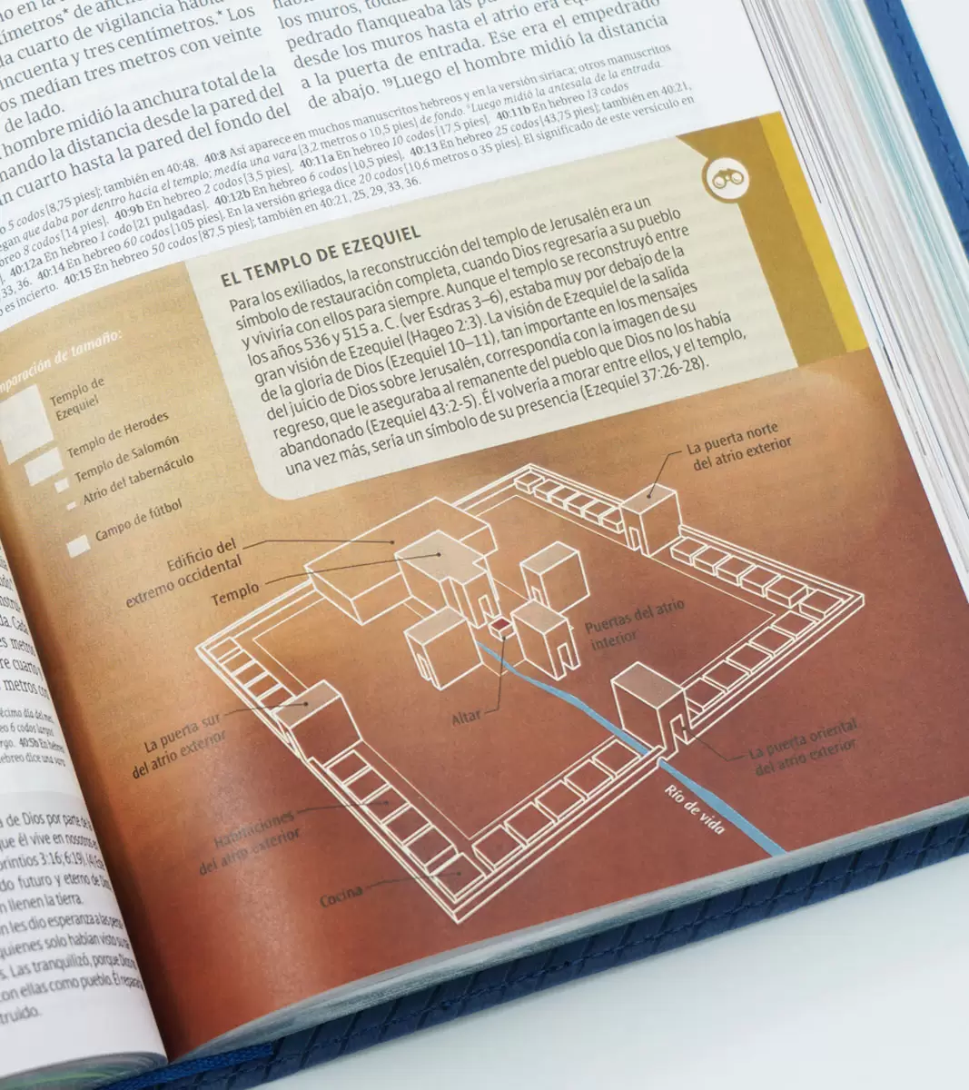 Biblia de estudio Diario Vivir para Jóvenes NTV - Imagen 4