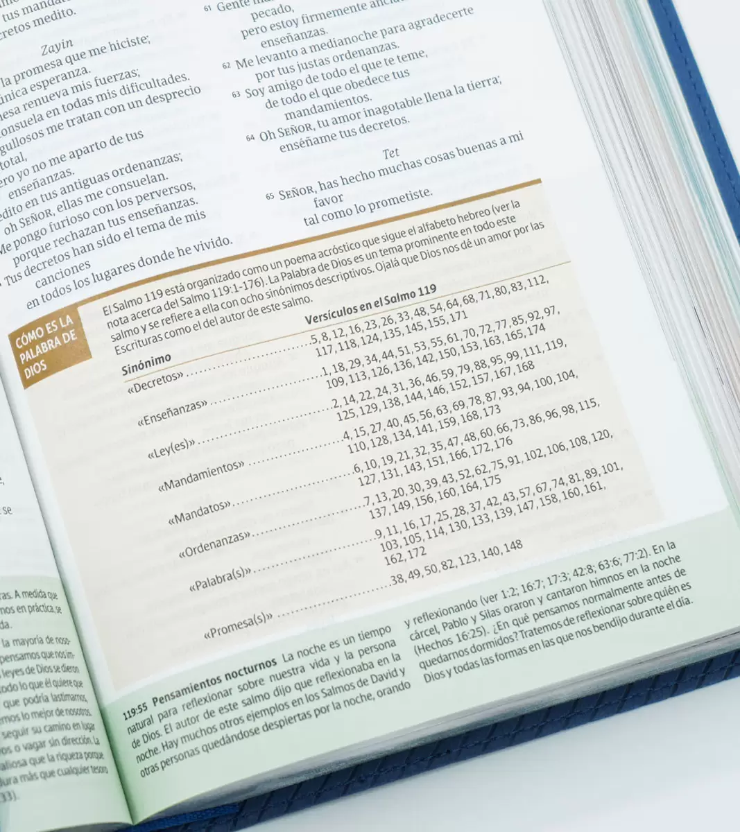 Biblia de estudio Diario Vivir para Jóvenes NTV - Imagen 5