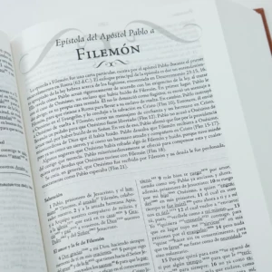 Biblia de Estudio Palabra Clave, tapa dura, RV1960