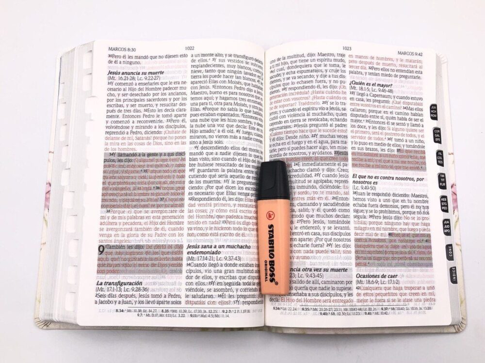 Biblia de Promesas RV1960 – Letra Gigante - Image 4