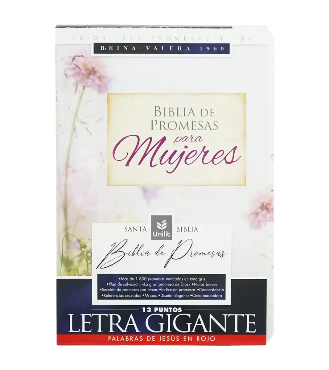 Biblia de Promesas RV1960 – Letra Gigante - Image 2