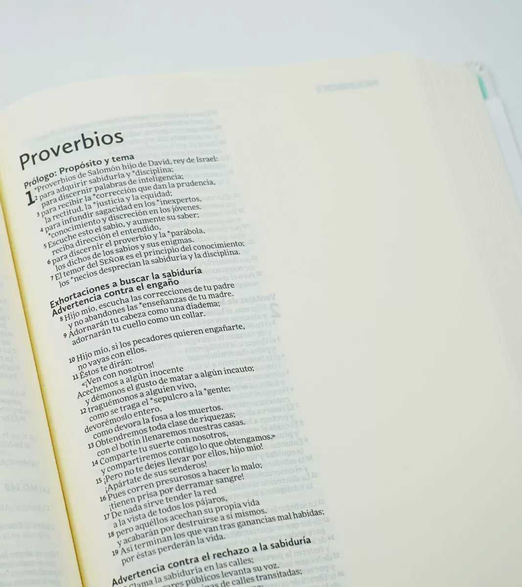 Biblia Ilustra tu Fe NVI de apuntes - Image 3