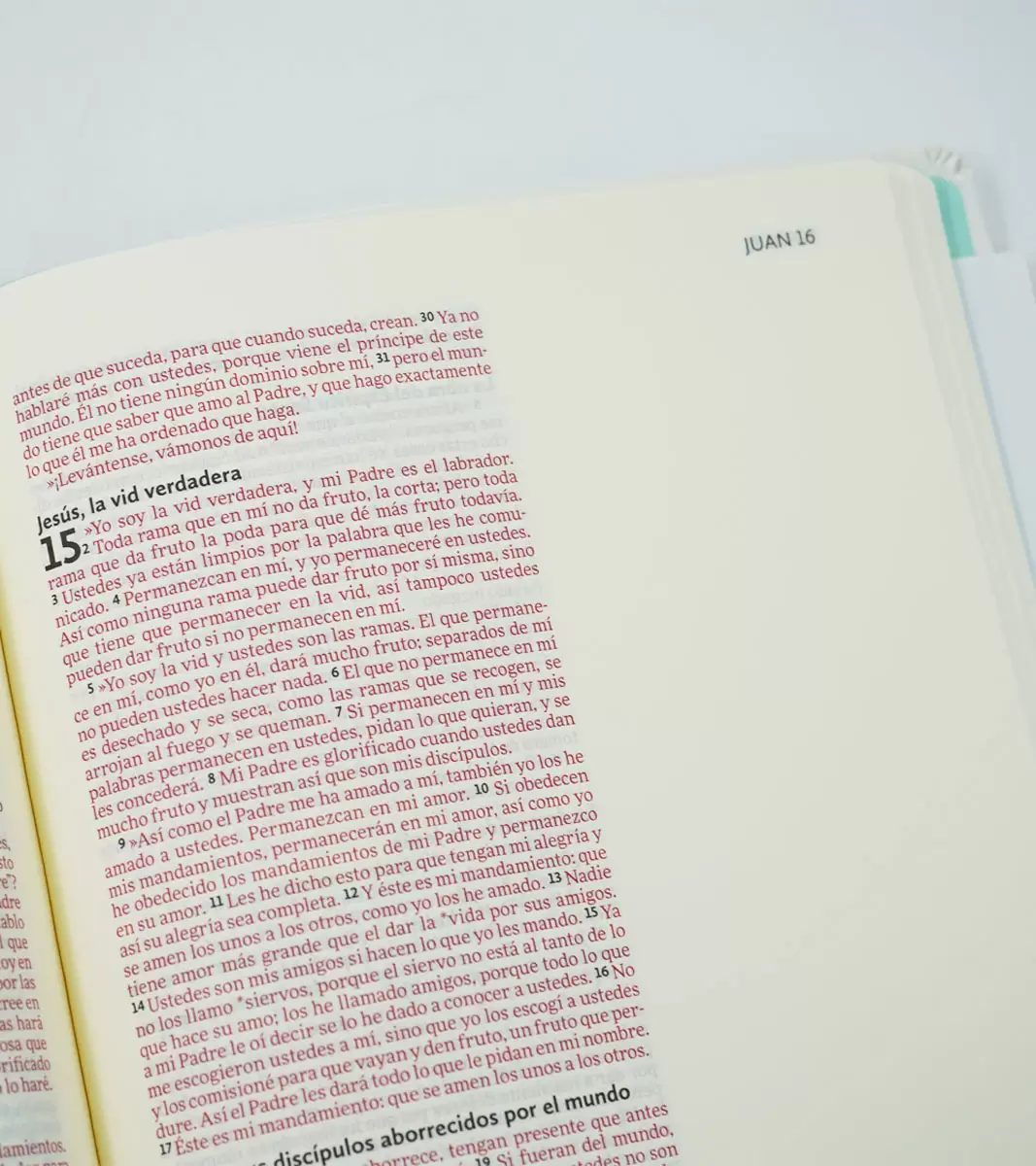 Biblia Ilustra tu Fe NVI de apuntes - Image 4