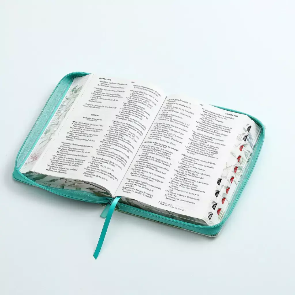 Biblia Letra Grande - RV1960 - con cierre turqueza mariposas con manija - Image 2