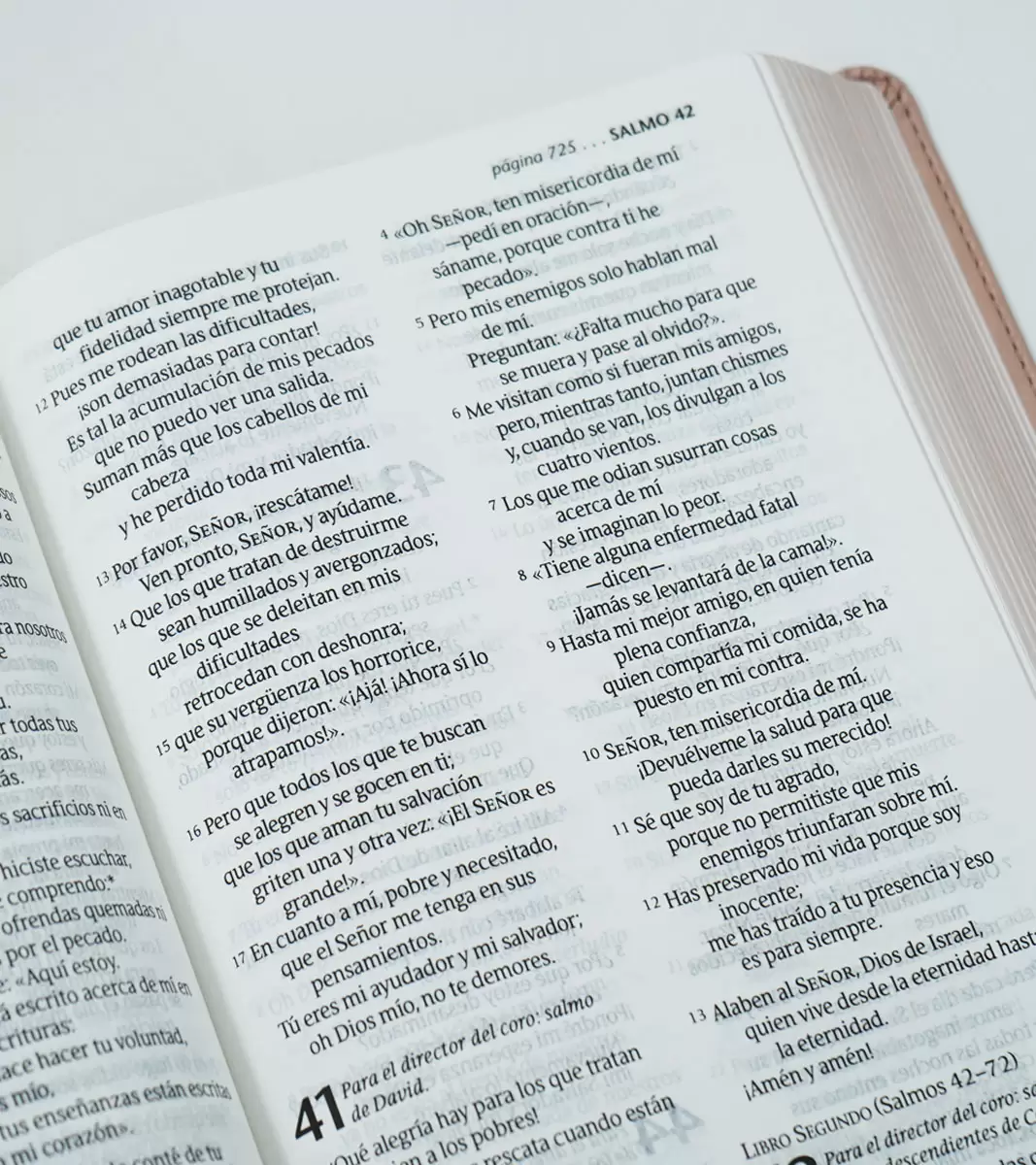 Biblia NTV letra grande, Imitacion Piel Metalico - Image 4