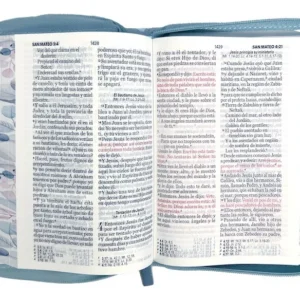 biblia reina valera 1960 letra mayor cierre pjr azul