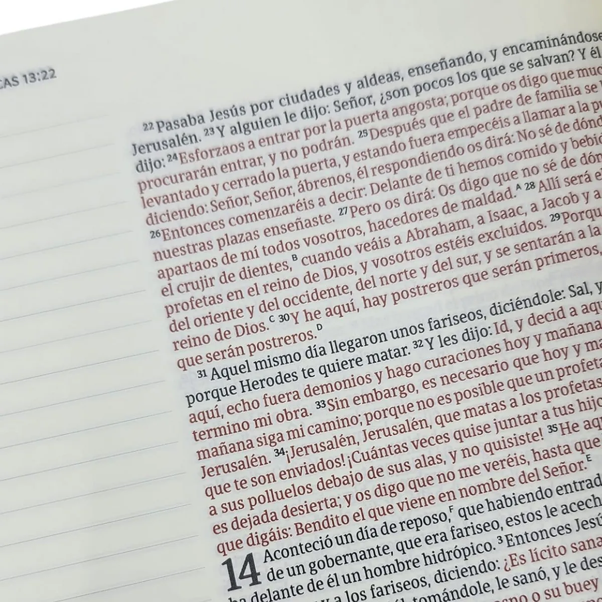 Biblia De Apuntes Reina Valera 1960 Marrón Tapa Blanda - Image 3