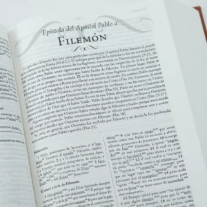 biblia de estudio palabra clave rv1960