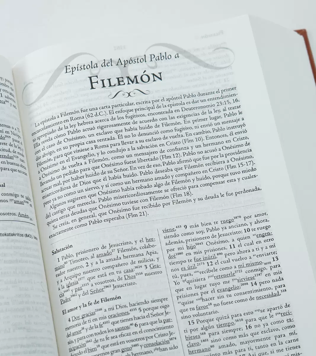 Biblia De Estudio Palabra Clave RV1960 - Image 2