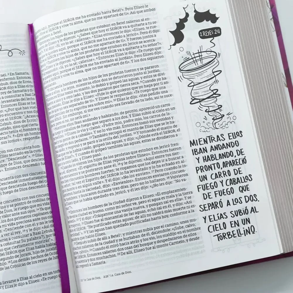 biblia nbla edición artística ilustrada