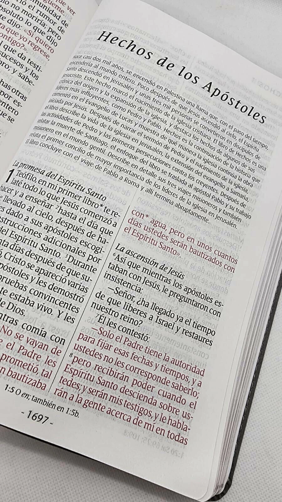 Biblia NTV Letra Gigante – Imitacion Piel Gris - Image 4