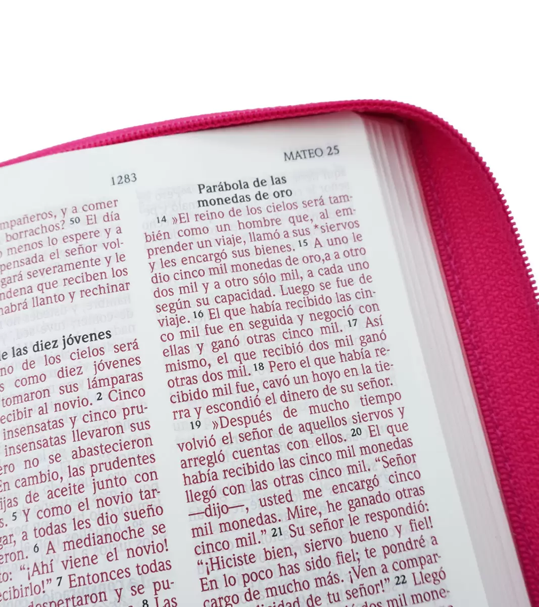 Biblia NVI Letra Grande, Tamaño Compacto con Cierre - Image 3