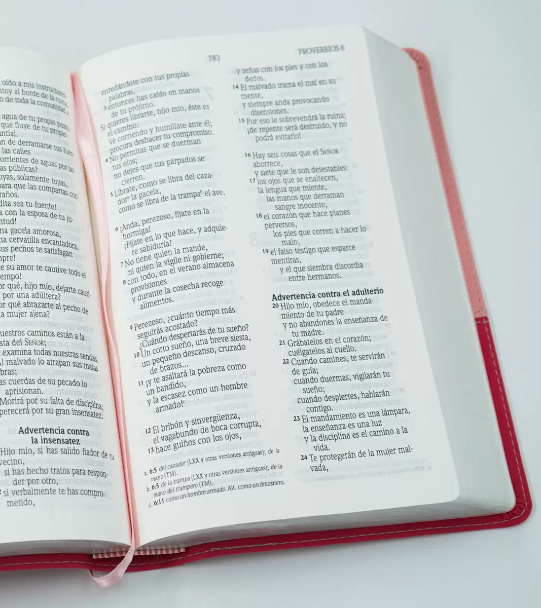 Biblia NVI Letra Grande, Tamaño Manual - Image 3
