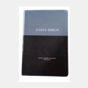 Biblia RV1960, letra gigante, duotono negro y gris