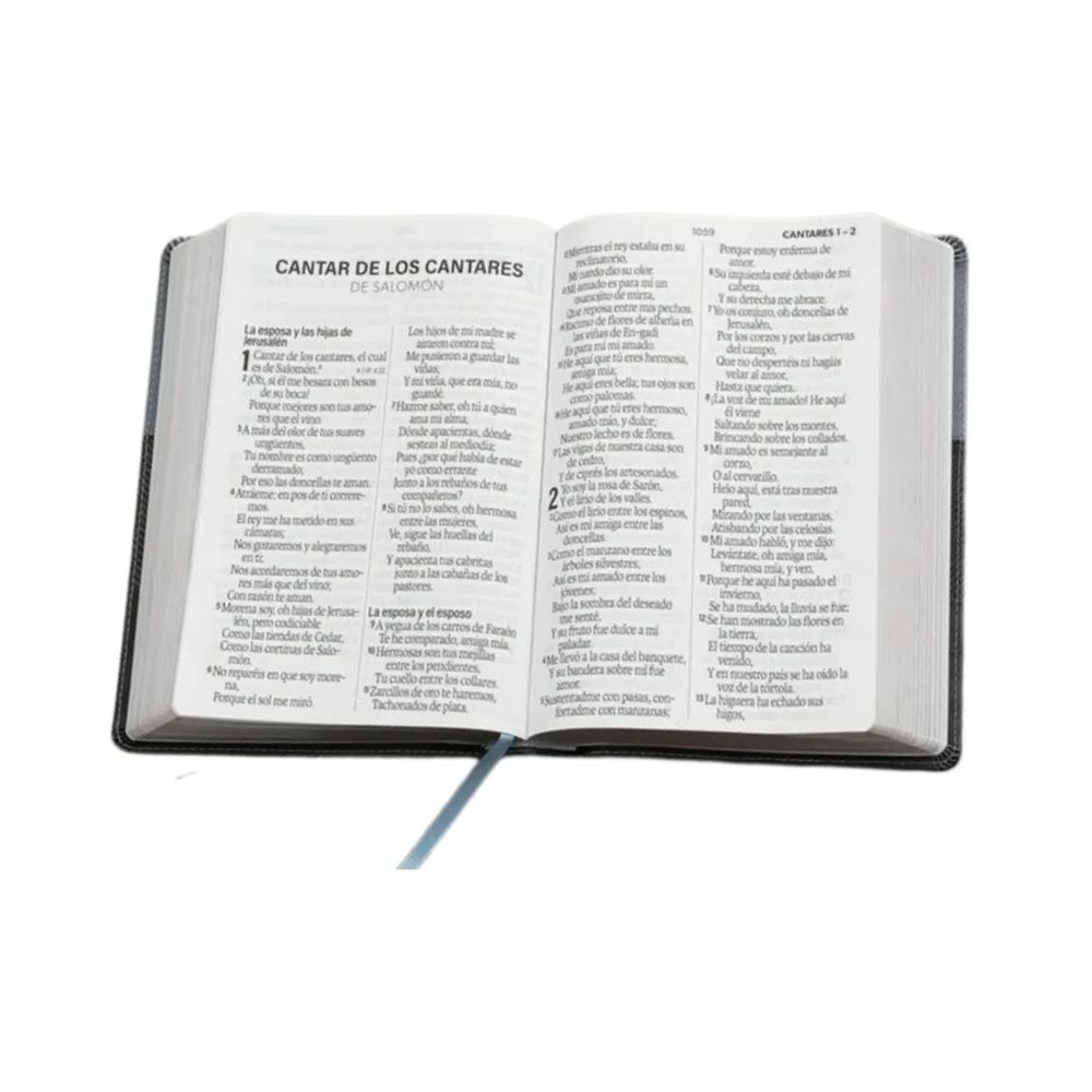 Biblia RV1960 Letra gigante gris y negra - Image 2