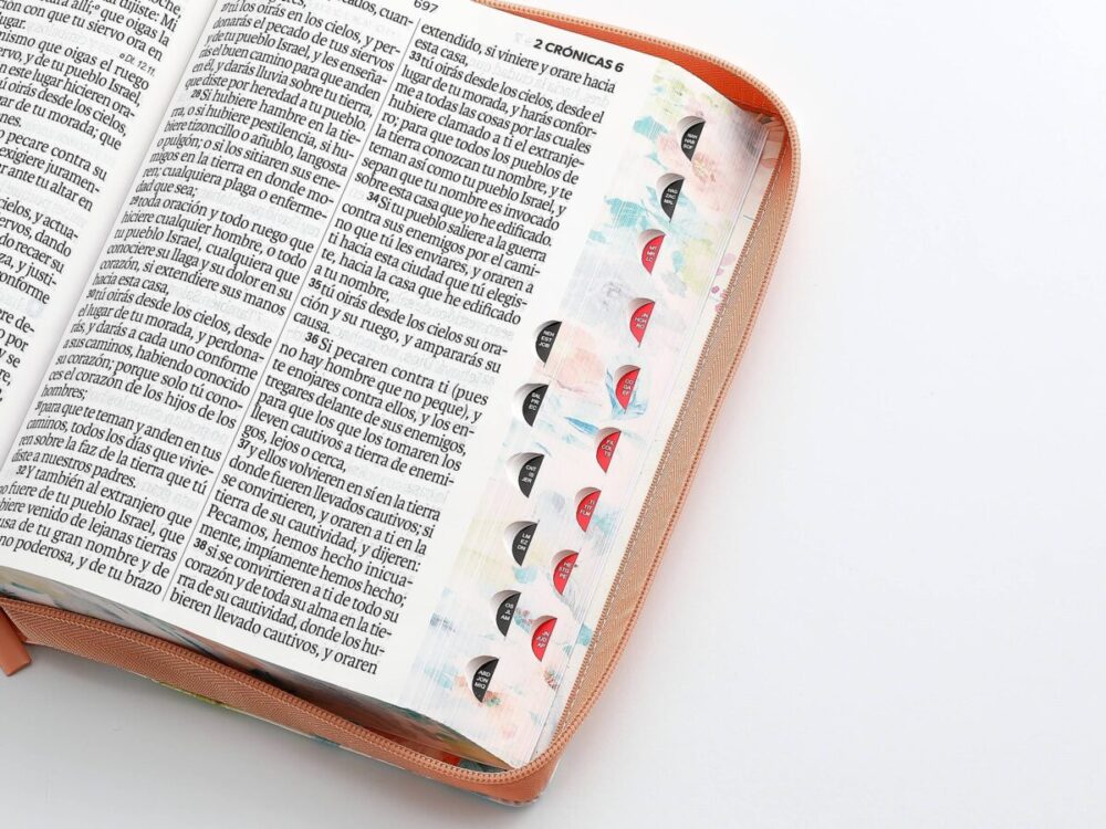 Biblia RV1960 Letra Gigante con cierre, índice - Image 3