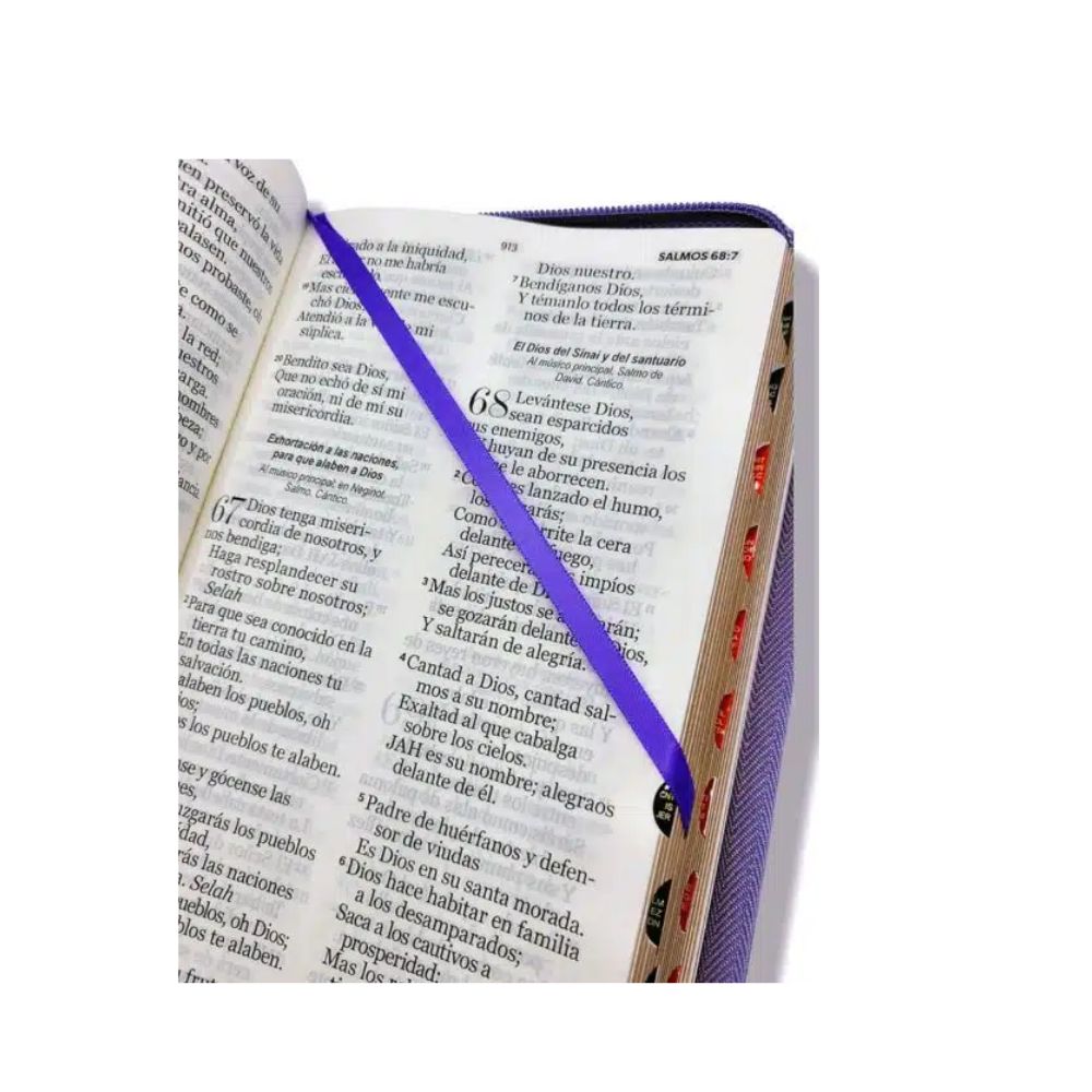 Biblia RV1960 letra gigante con cierre/índice violeta - Image 2