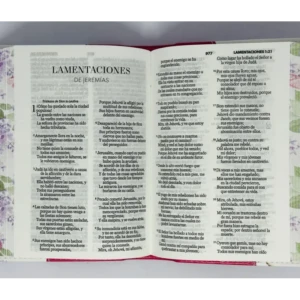 Biblia RV1960 Tamaño bolsillo con canto pintado