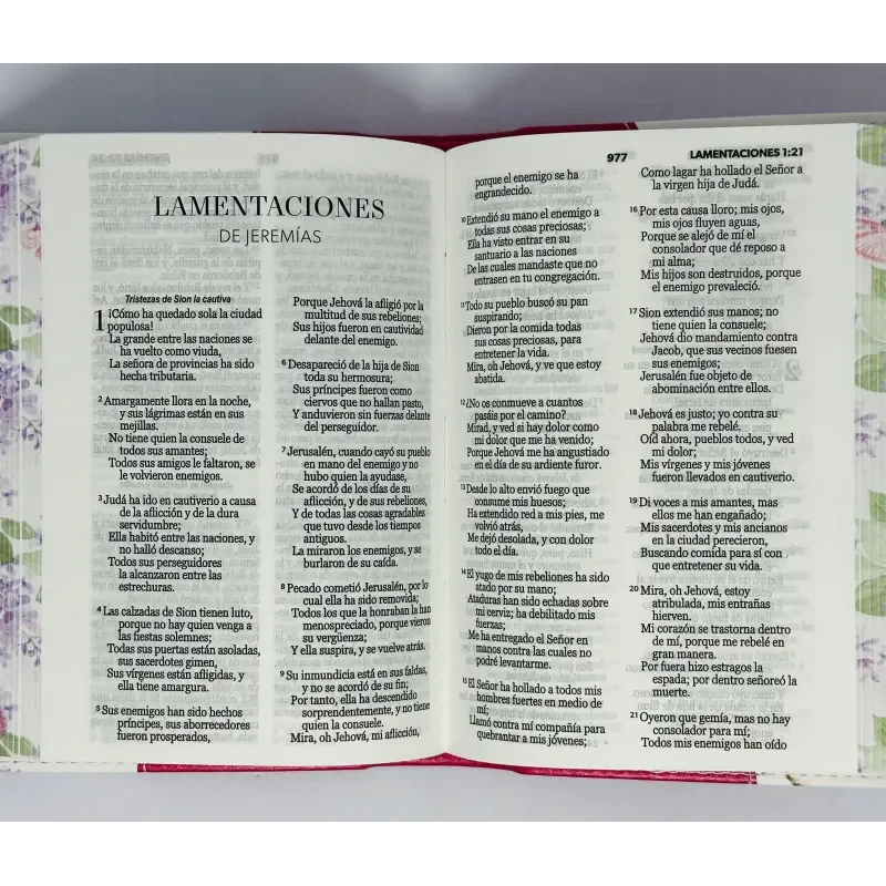 Biblia RV1960 Tamaño bolsillo canto floral fuscia - Image 2