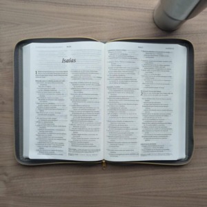 Biblia ultrafina NTV, letra grande zíper con app Filament