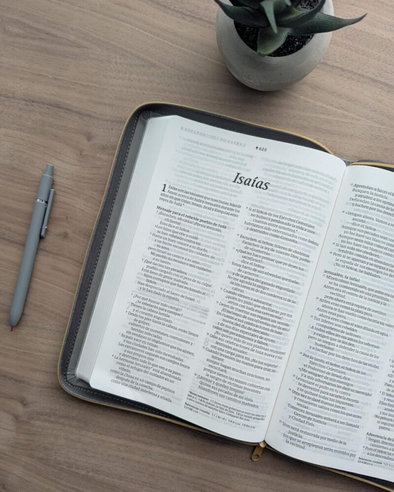 Biblia ultrafina NTV, letra grande de zíper con Filament - Image 4