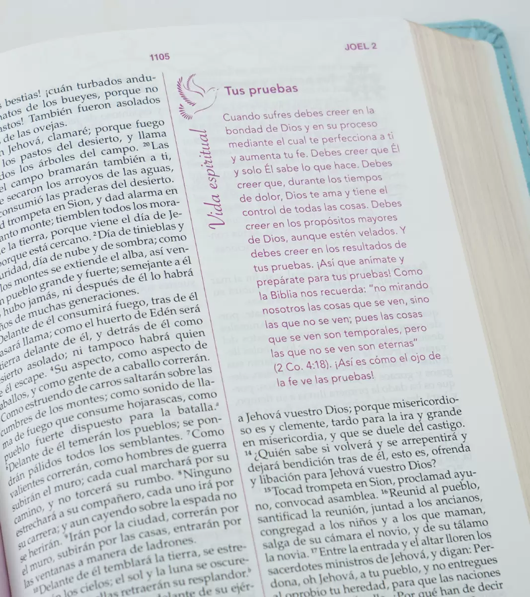 Biblia una Mujer Conforme al Corazon de Dios RV1960, pétalos - Image 4