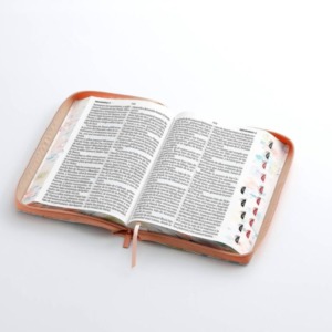 biblia rvr60 letra súper gigante i/piel coral con cierre/índice canto pintado