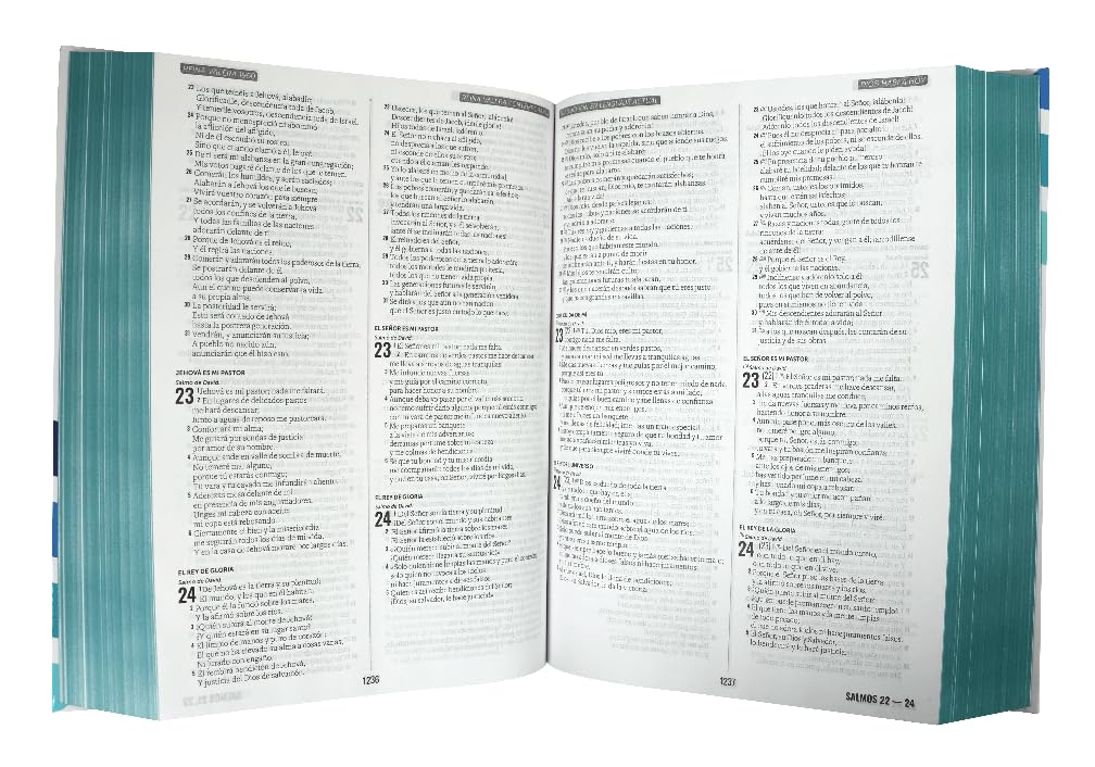 Biblia Multiversiones (4 En 1) RVR1960, RVC, DHH, TLA - Image 2