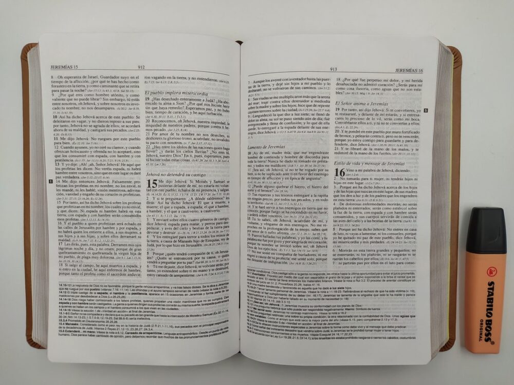 Biblia de estudio Plenitud RVR60 -piel Café tamaño personal - Image 3