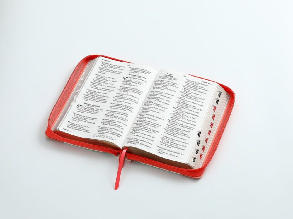 Biblia RV1960 Tamaño Manual letra grande /piel Coral/coral/Blanco cierre/índice - Image 2