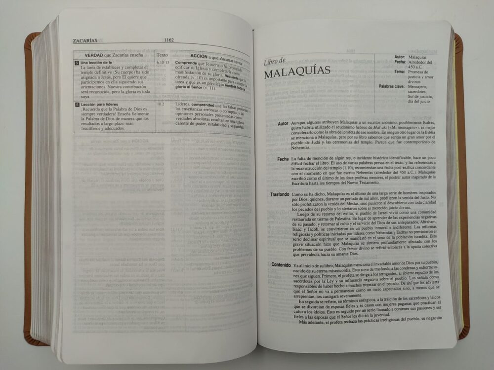 Biblia de estudio Plenitud RVR60 -piel Café tamaño personal - Image 4