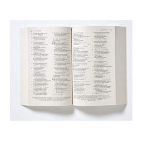 Biblia NBLA Economica Letra Grande – Tapa Rustica