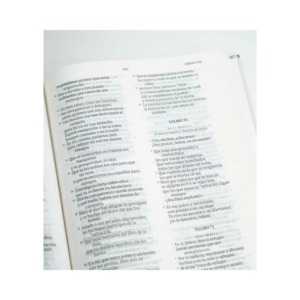 Biblia NVI Letra Grande – Tapa Dura Flores Rosa