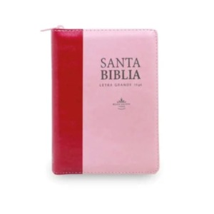 Biblia R1960 Letra Grande
